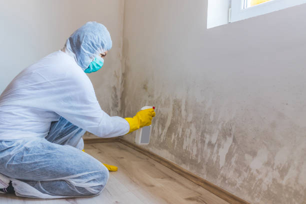 Mold Remediation specialist working in Central Islip
